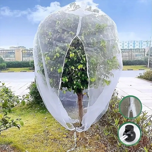 Garden plant tree fruit - garden,