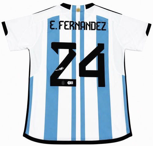 Enzo fernandez argentina - fernandez,