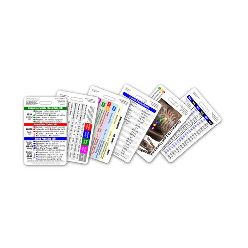 Mini cna vertical badge - mini, na