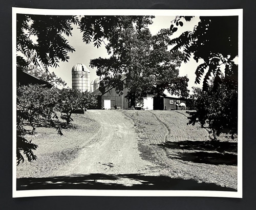 1960s family farm barn - farm, grain