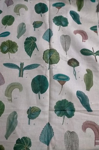Designers guild leaf - designers, study