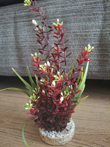 Fish tank decorations - fish,