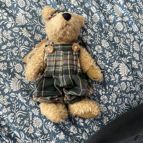 Lovely boyd bear - bear, in