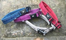 Hurtta Dog Collar Premium