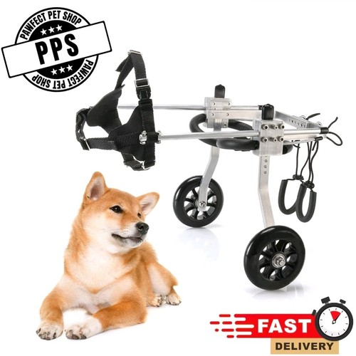 Dog wheelchair mobility - dog,