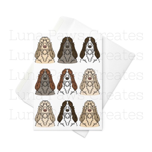 Italian spinone card - card,,