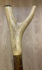 Stag Horn Hazel Thumb Walking