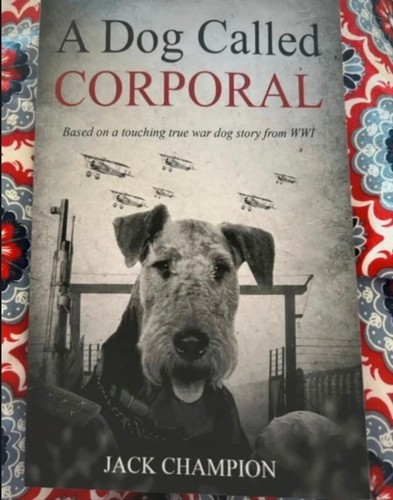 New dog called corporal - new,