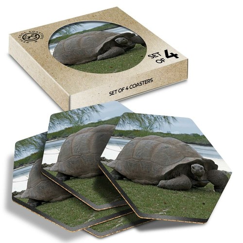 Hexagon coasters aldabra - 4,