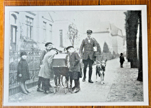 Postcard•medical