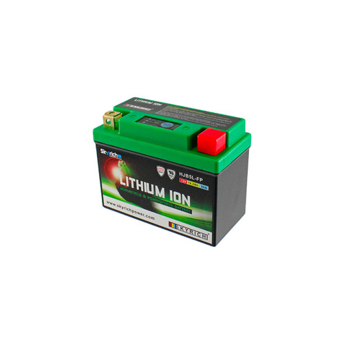 Skyrich lithium battery - skyrich,