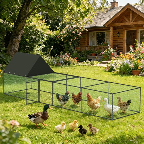 Chicken coop run large - chicken,