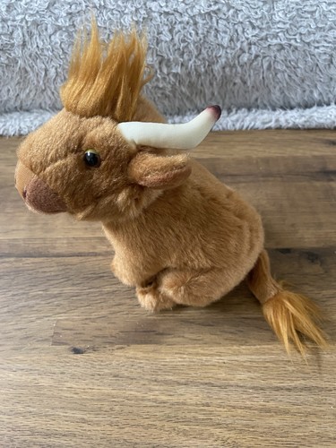 Living nature highland cow - living,
