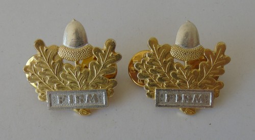 Mercian regiment collar badges - mercian,