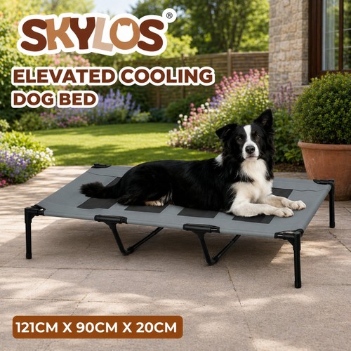 Skylos raised dog - skylos, bed