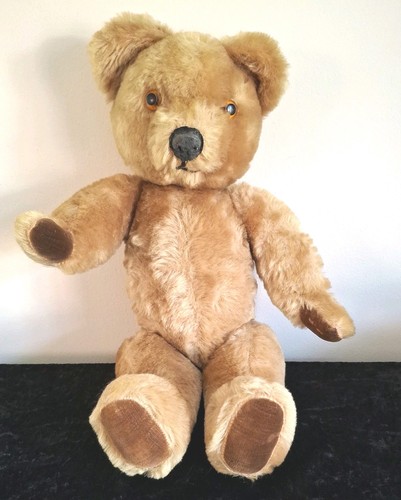 Pedigree teddy bear - pedigree,