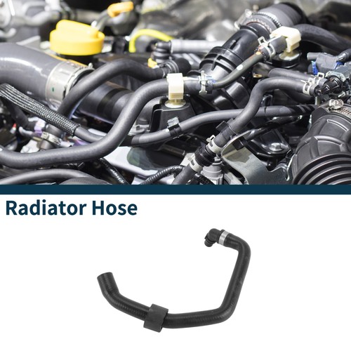 Radiator hose 1668304196 - radiator,