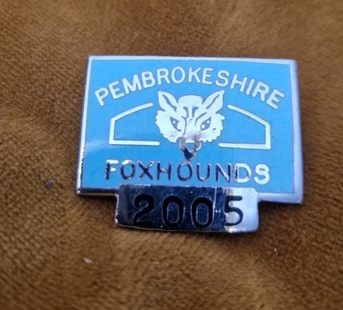 Fox hunting pembrokeshire - fox,