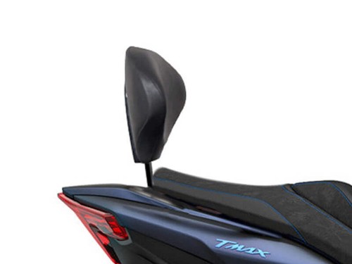 Shad sissy bar backrest - sissy,