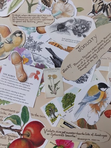 Nature ephemera job lot - job,