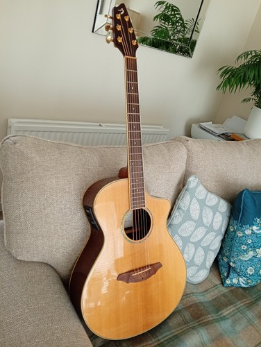 Breedlove atlas ac25 - atlas,