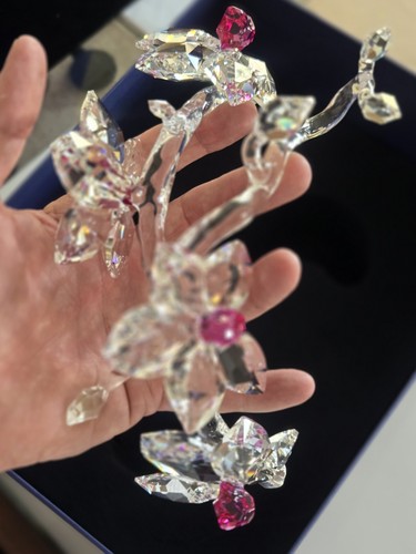 Swarovski crystal orchids a - orchids, on