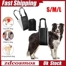 Large Dog Mobility Aids