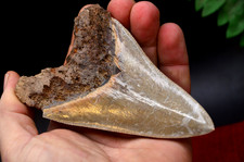 #R17 ,LOVELY BIG! 4.65"