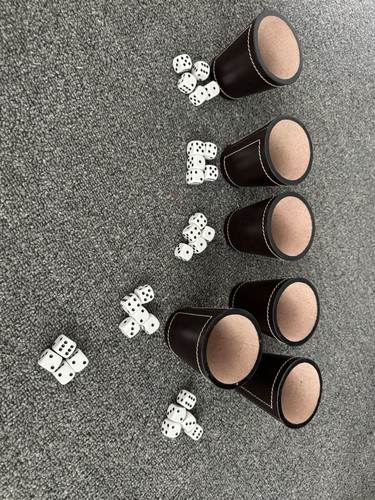Liar dice game - liar's,