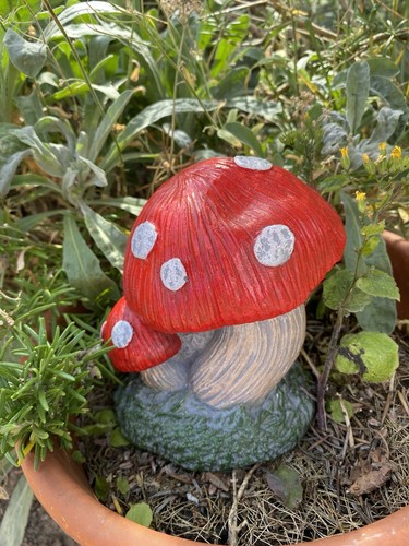 Mushroom toadstool stone - mushroom,