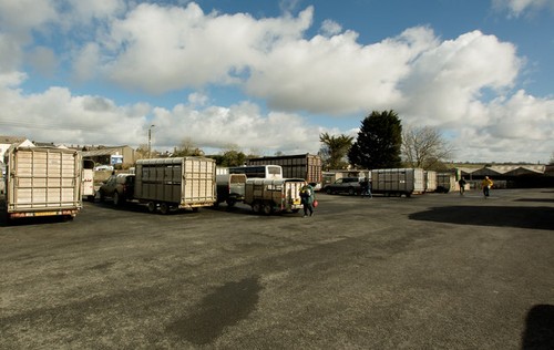 Photo 6x4 transport the - photo, at