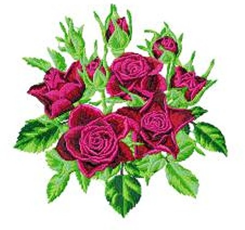 Machine embroidery designs usb - designs,