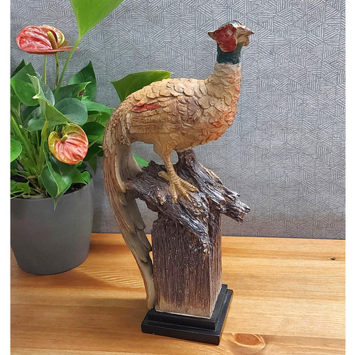 Unusual pheasant indoor - unusual,