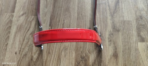 Miniature horse show - , halter