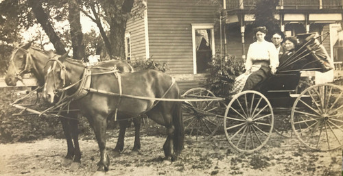 Antique vtg rppc horse - rppc,