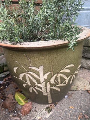 Glazed terracotta planter - ,
