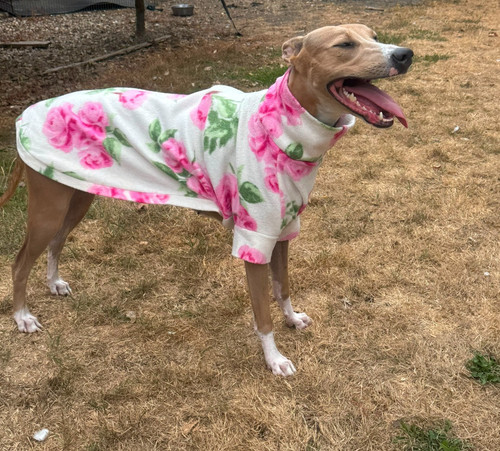Lightweight lurcher fleece - lurcher,