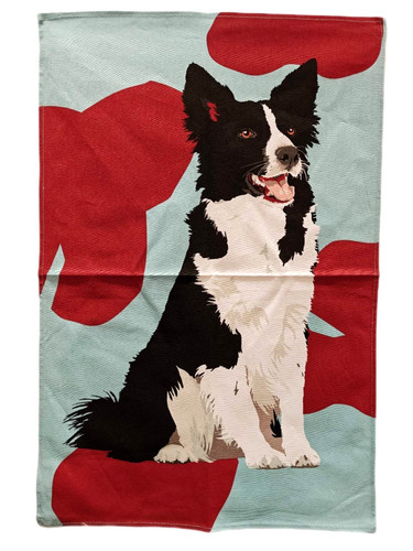 Border collie cotton - collie,