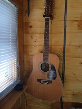 Freshman 12 String Acoustic