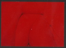 signed HELMUT NEWTON - RED