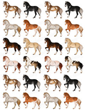 Horse Pony Cake Topper Party