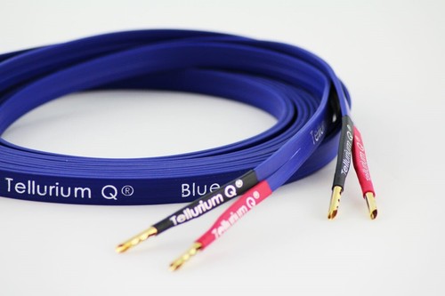 Tellurium blue speaker - q,