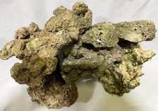 MARINE AQUARIUM LIVE  LIVING