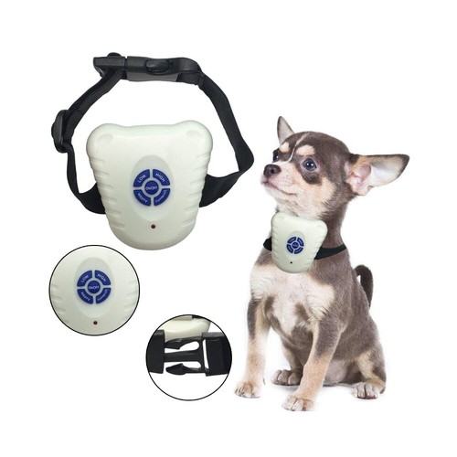 Anti bark collar - bark, dog
