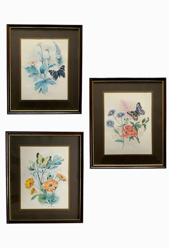 Vintage butterfly wildflower - butterfly, &
