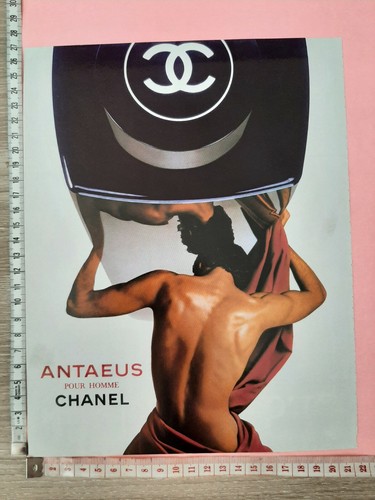Perfume paper advertising - paper, advertising.