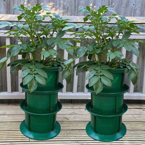 Platform potato growing - platform, pot