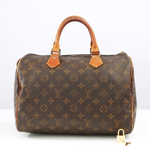 Louis vuitton monogram - louis,