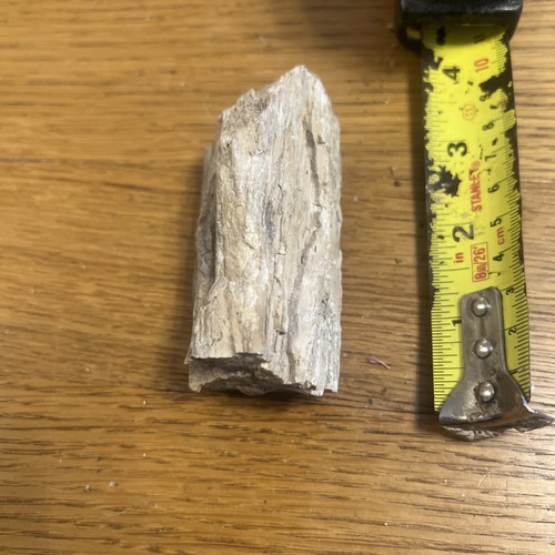 Petrified wood piece 8cm - 8cm, by