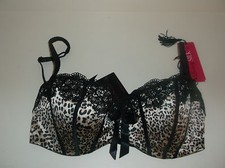 Bnwt La Senza Bra 32A 34A 36B 38DD Georgia Silk Lace Animal Print 